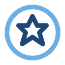 Rating Icon